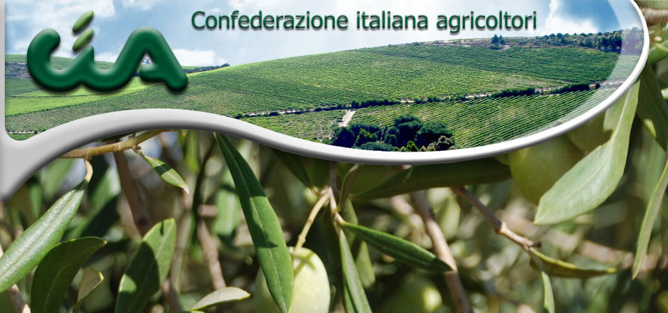 cia-cosenza-economia-olivicultura-olio-mazzei-confagricoltura