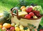 Dieta Mediterranea - Magazine specializzato www.ladietameditarranea.eu