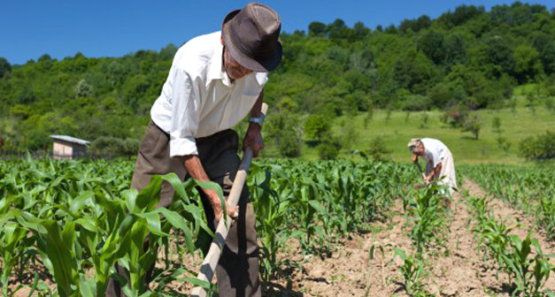 agricoltura-italiana-embargo