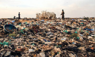 fao-giornatamondialedelsuolo