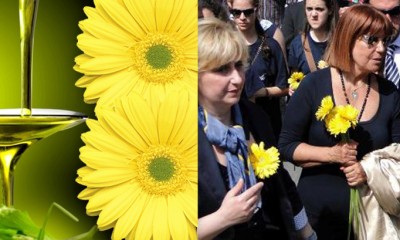 olio gerbera gialla-adriana musella-maria rosaria russo